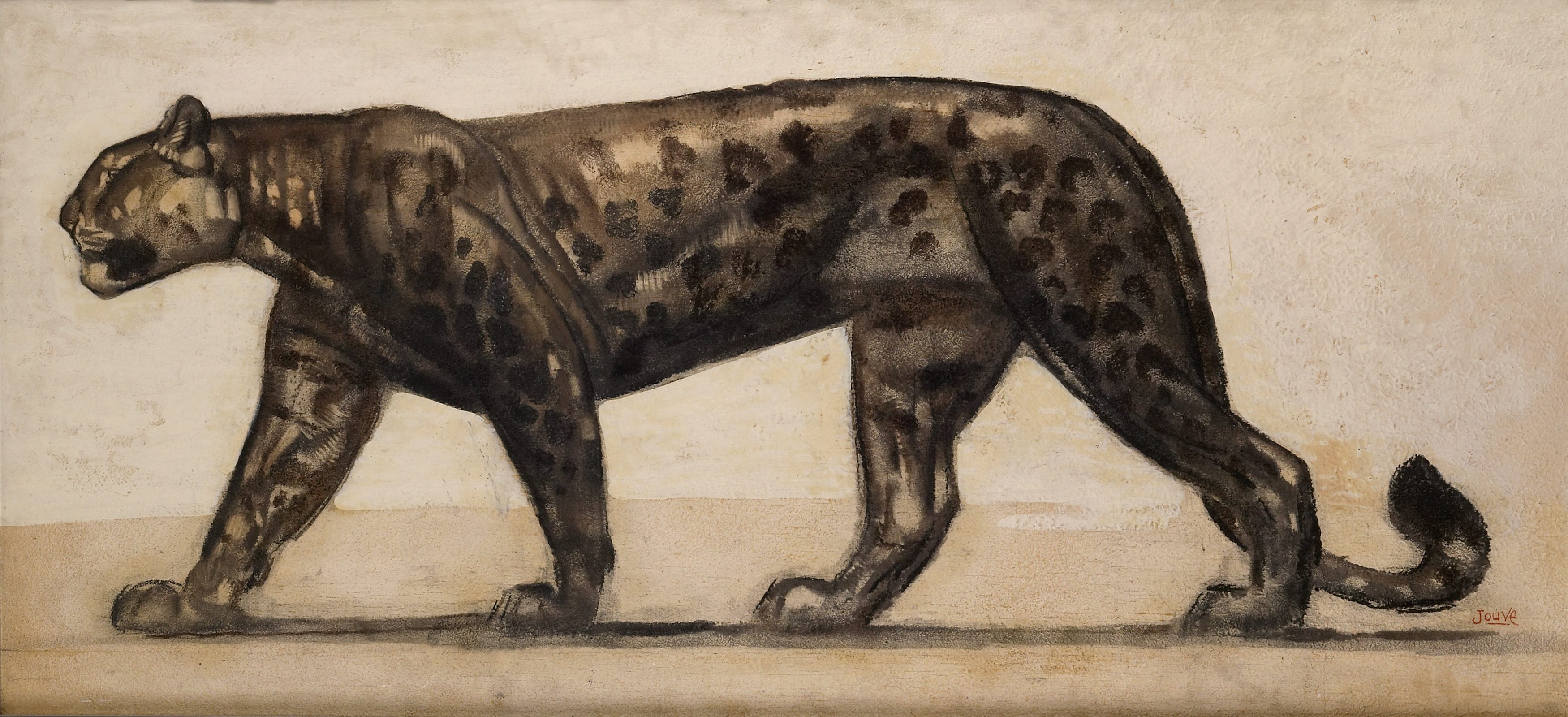 Panthère ocellée marchant de profil.